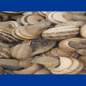 CARACOLES